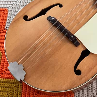 Kay Mandolin - Classic Mandolin! - Made in USA 🇺🇸- Gorgeous Sound and Great Condition! - image 5