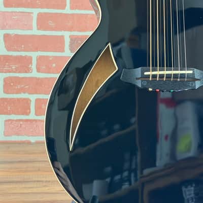 ESP LTD TL-6 Thinline Acoustic-Electric Guitar - Black image 3