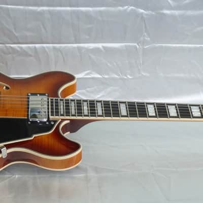 D'Angelico Premier DC Mini 2023 - Iced Tea Burst image 2