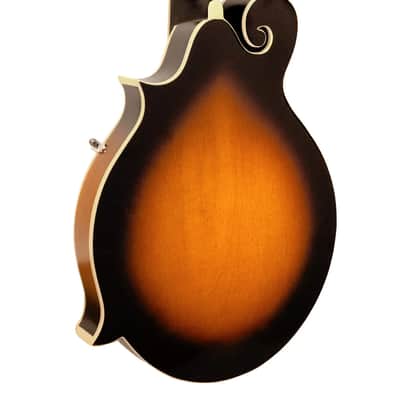 Gold Tone GM-35: F-Style Mandolin with Case image 22
