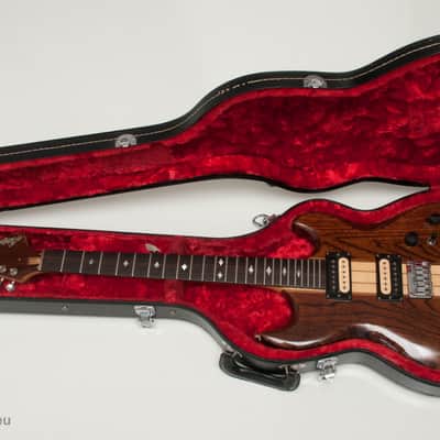 Vintage 80's Aria Pro II Hardcase for TS and RS Models | Reverb