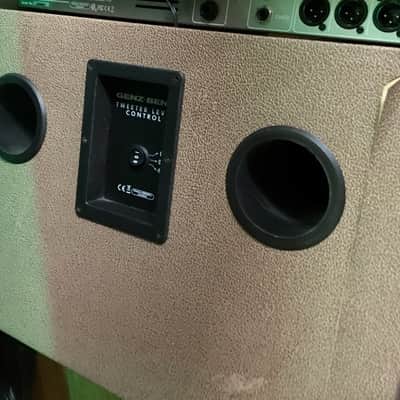 Genz Benz Shenandoah 150lt Akustikcombo gebraucht Topzustand beige image 2