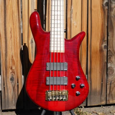 Spector Euro 5 LX Maple Fingerboard – Black Cherry Gloss 5-String Electric Bass Guitar image 4