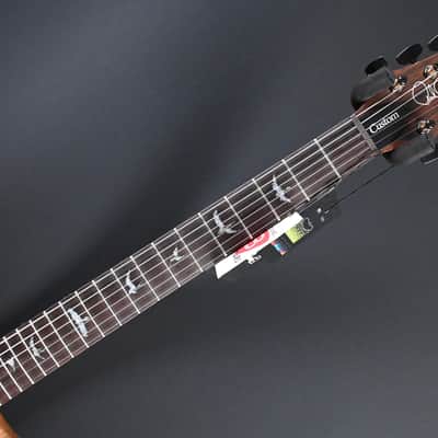 PRS Wood Library Custom 24 Piezo 10-Top Blue Fade #067 image 4