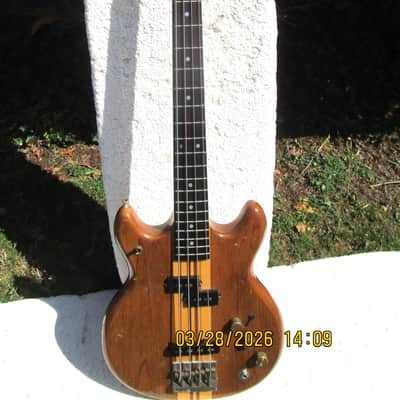 Vantage VP820B Bass Guitar, 1982, Japan, Matsumoku  Factory, Gig Bag image 1