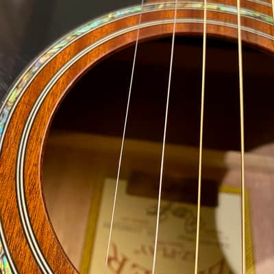 Zager ZAD-20E Mahogany - Acoustic/Electric image 12