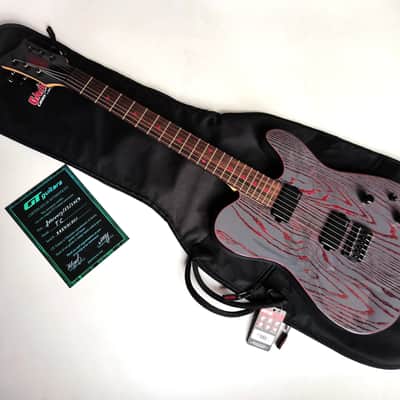 (made in Ukraine) GT Guitars TC 6-string '2024 Graphite image 2