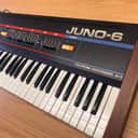 Roland Juno-6 61-Key Polyphonic Synthesizer
