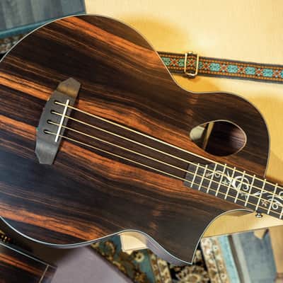 Michael Kelly Dragonfly 4 Port Electric Bass w/ Java Ebony Finish MKD4SJESFS image 11