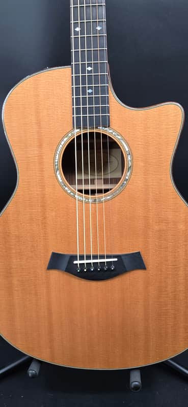 Taylor 2010 Baritone 6 wih case image 1
