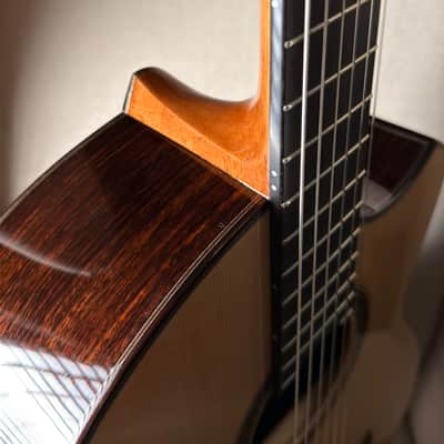 Keisuke Fujii Jazz Nylon with Carlos VIP-DM System image 8