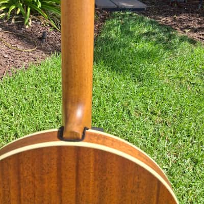 Deering USA Boston 5-String 11" Resonator Banjo w/Hard Case image 9