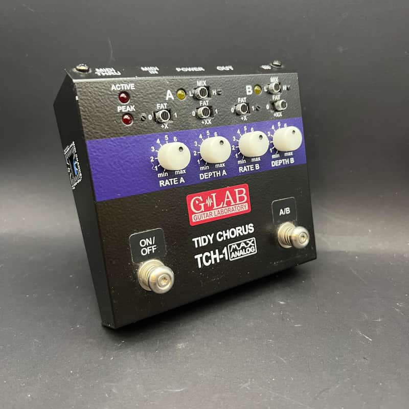 G Lab   Tch 1 T ID Y Chorus image 1