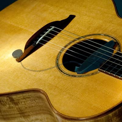 Schertler DYN-AG6 Guitar Pickup image 2