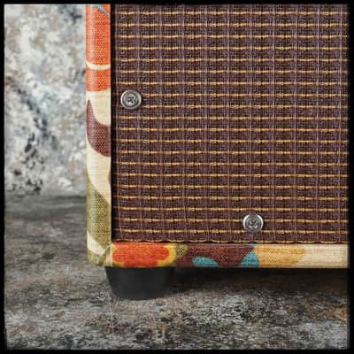 Benson Vinny Reverb Combo - Desert Gertie image 9
