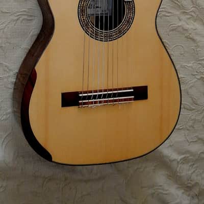 Heikki Rousu 11 string Alto guitar image 1