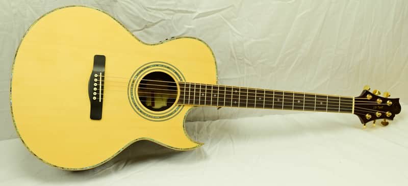 Samick ASMJR CE Acoustic/Electric Guitar All Solid Wood image 1