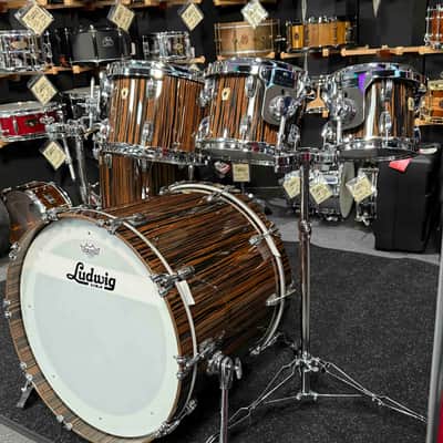 ~RARE!~ Ludwig Classic Maple 6-Piece 8/10/12/14/16/22 Drum Kit Set in Exotic Macassar Ebony Lacquer with SKB Soft Cases (Rm 4) image 2