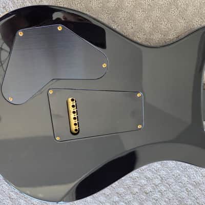 PRS DGT David Grissom Tremolo Signature Wood Library 10-Top Gray Black image 6