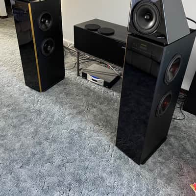 Meridian DSP6000 Floor Standing Speakers Late 90s Early 2000s Piano Black image 6