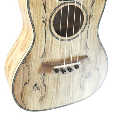 Sun Star Spalted Maple Concert Ukulele image 5