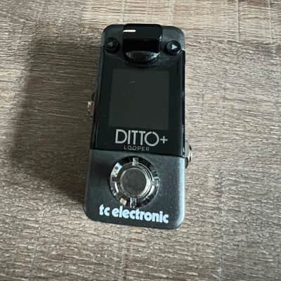 TC Electronic Ditto+ Looper | Reverb