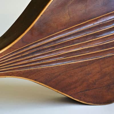 Mandolin by J. Murthwaite Newcastle 1901 image 17
