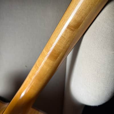 Eastman PG2 Pagelli Archtop 17" image 14
