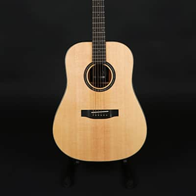 Corona IDEA DM-1000 All Solid Wood Sustain Block Dreadnought Acoustic Guitar image 1