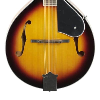 Washburn M1 Mandolin Pack with Gigbag image 3