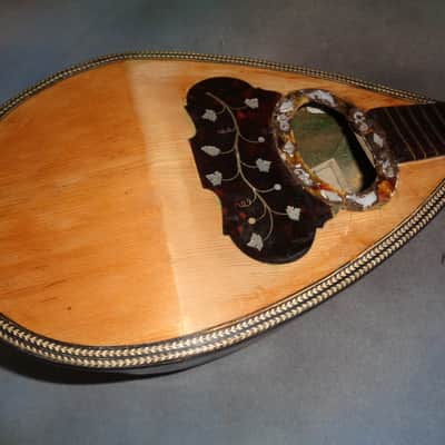 E. Zerega Bowlback Mandolin Brazilian 1900 image 2