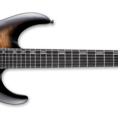ESP LTD H-1001 FR Black Natural Burst image 2