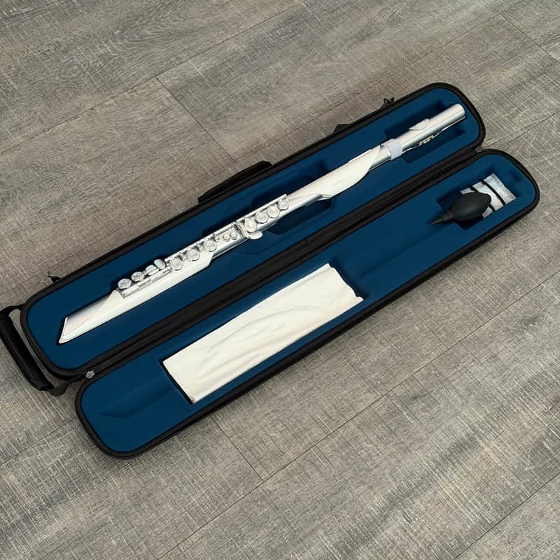 Roland Aerophone Brisa 2025 image 1