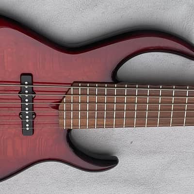 James Tyler Custom 2007 Six String Bass Guitar image 2