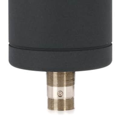 sE Electronics Gemini II Large-diaphragm Tube Condenser Microphone (Gemini2d1) image 1
