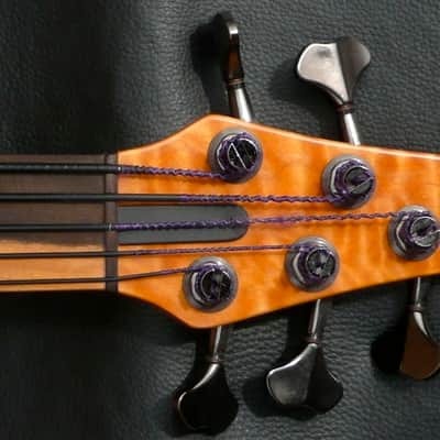 Veillette Paris Lined Fretless image 7