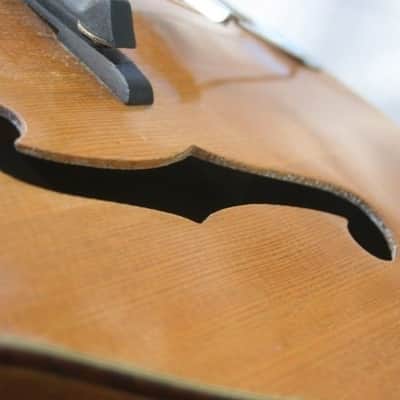 HARMONY PATRICIAN H1407 with Fishman, 1940s image 2