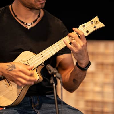 Ortega RUNAB-CC Bamboo Series Solid Bamboo Top & Neck 4-String Concert Acoustic-Electric Ukulele w/Gig Bag image 18