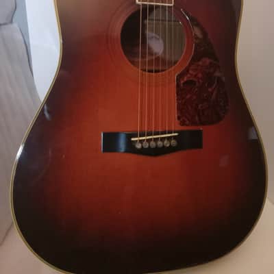 Fender F-240A and Levy's Cowboy Case F-240A 1980's - Gloss image 25
