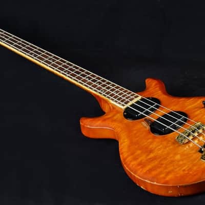 Oasis Bass by Gary Cooper from Alembic 1977-1983 Amber image 8