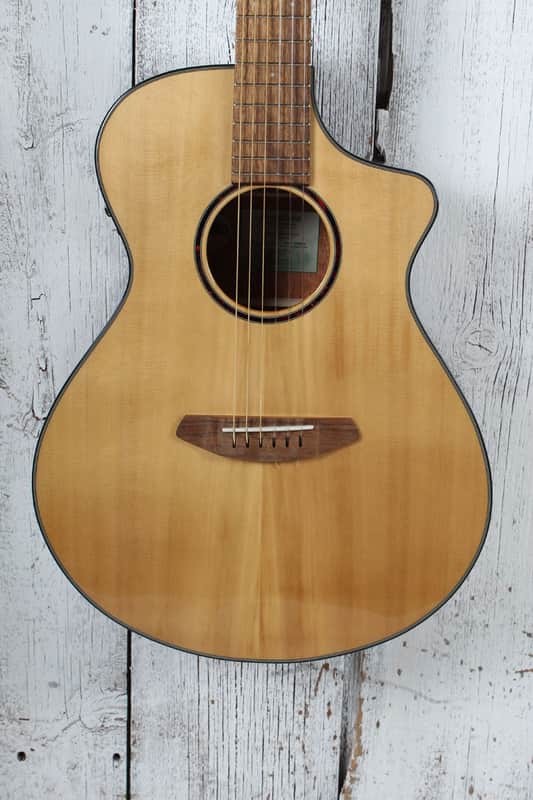 Breedlove ECO Discovery S Concert Nylon CE Acoustic Electric Nylon String Guitar image 1