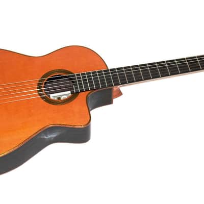 Cordoba Fusion Orchestra PRO CE CD/IN Acoustic-Electric Nylon String Classical Guitar image 1