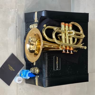 CarolBrass Pocket Flugelhorn / Taylor Phat Puppy 2024 - Polished / Lacquered image 2