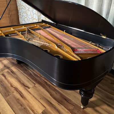 Steinway & Sons Art-Case Model C 1877 - Ebony Satin image 14
