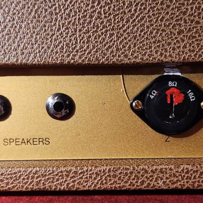 Schroeder Custom 100-Watt Head Brown image 12