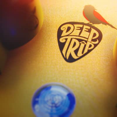 Deep Trip Capivara image 10
