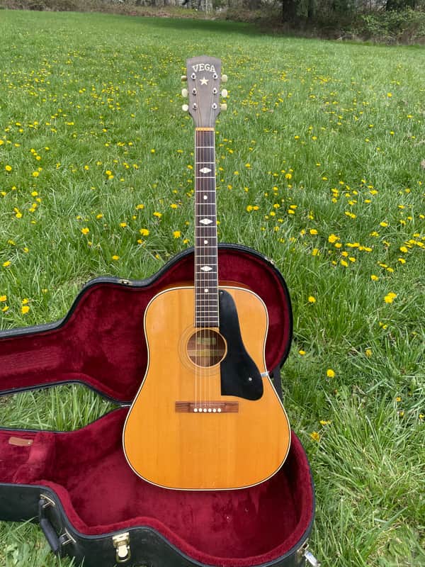 Vega Profundo Flat Top 1940,s - all original - hard shell case image 1