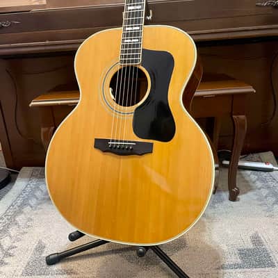 1980 Guild F-50 R image 1