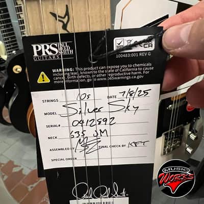 Prs Paul Reed Smith   Silver Sky Frost White image 9