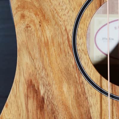 Taylor BT-E Koa Baby Taylor w/ ES-B Electronics Acoustic Guitar image 21